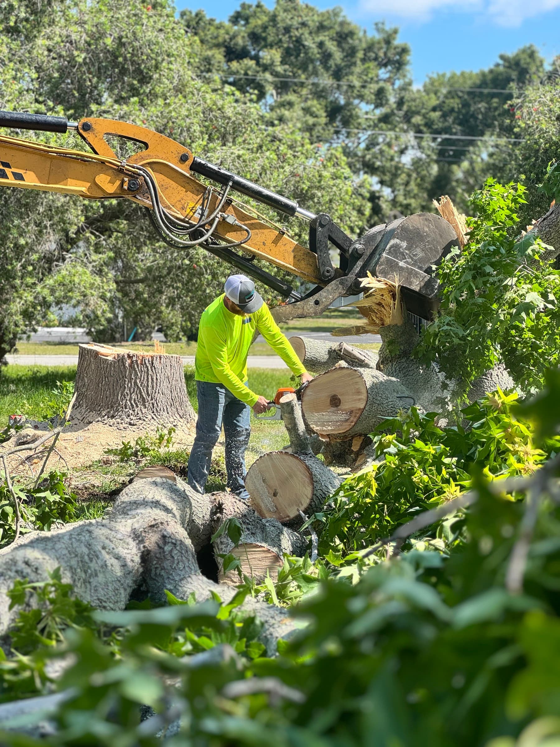Mojo crew cutting and removing tree debris